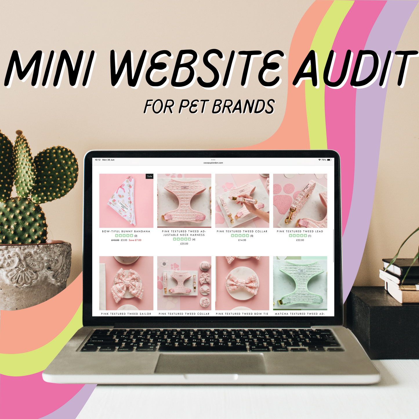 Mini Website Audit