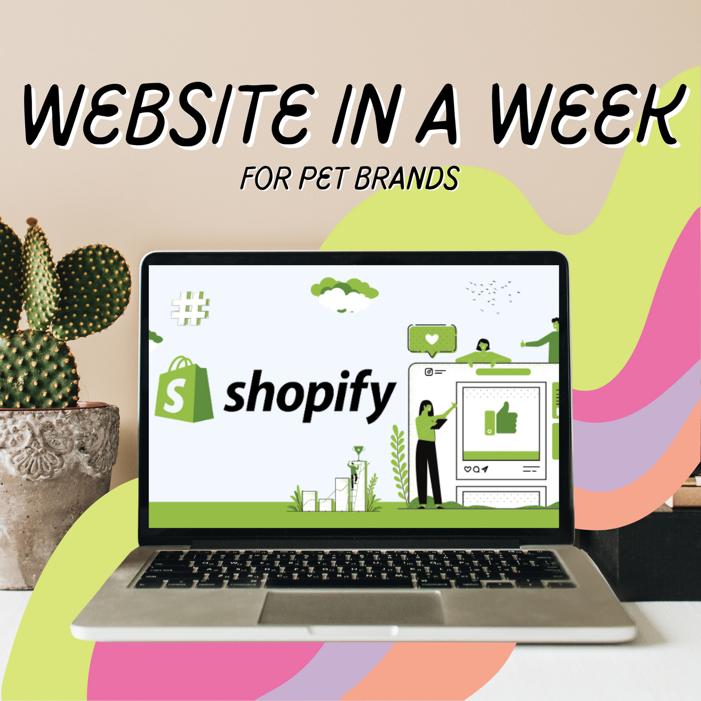 ‘Website in a Week’ Shopify Package