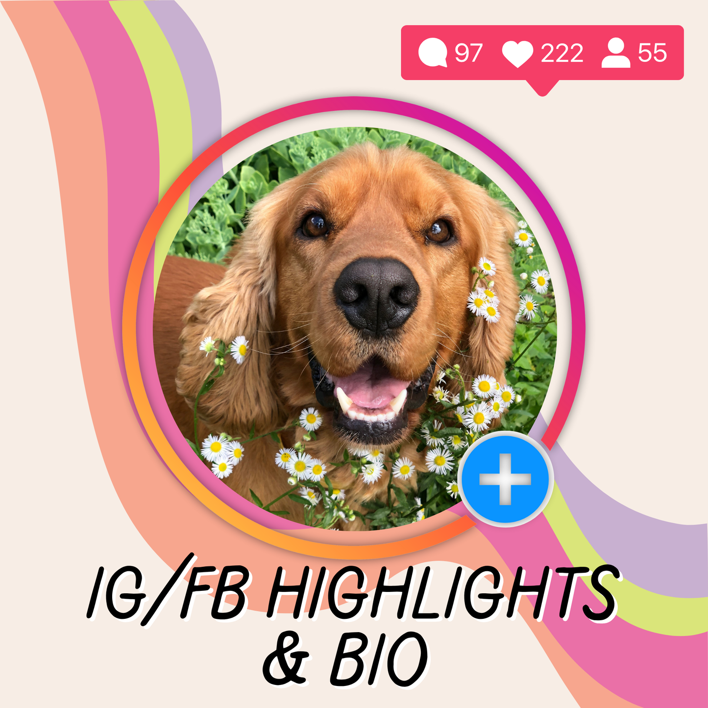 IG/FB Bio & Highlights