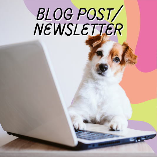 Blog Post/Newsletter